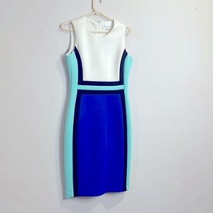 Calvin Klein Color Block Dress (SIZE 6)